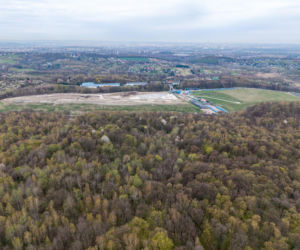 Kraków ma nowy las