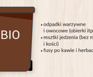 Bio