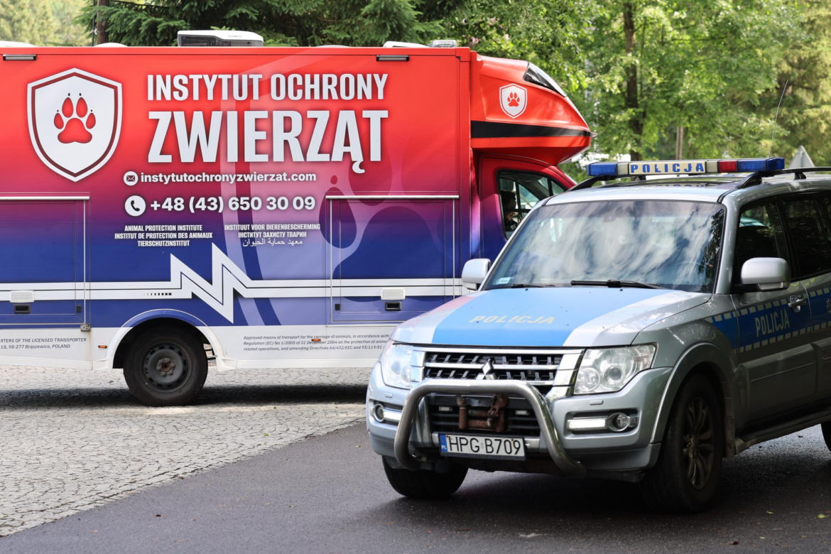 Protest przeciw przewozom konnym do Morskiego Oka