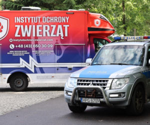 Protest przeciw przewozom konnym do Morskiego Oka