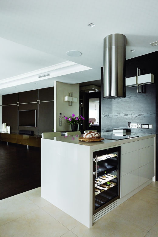 Kuchnia w apartamencie w stylu nowoczesnym