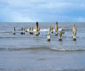 Niski stan Bałtyku - zdjęcia morza