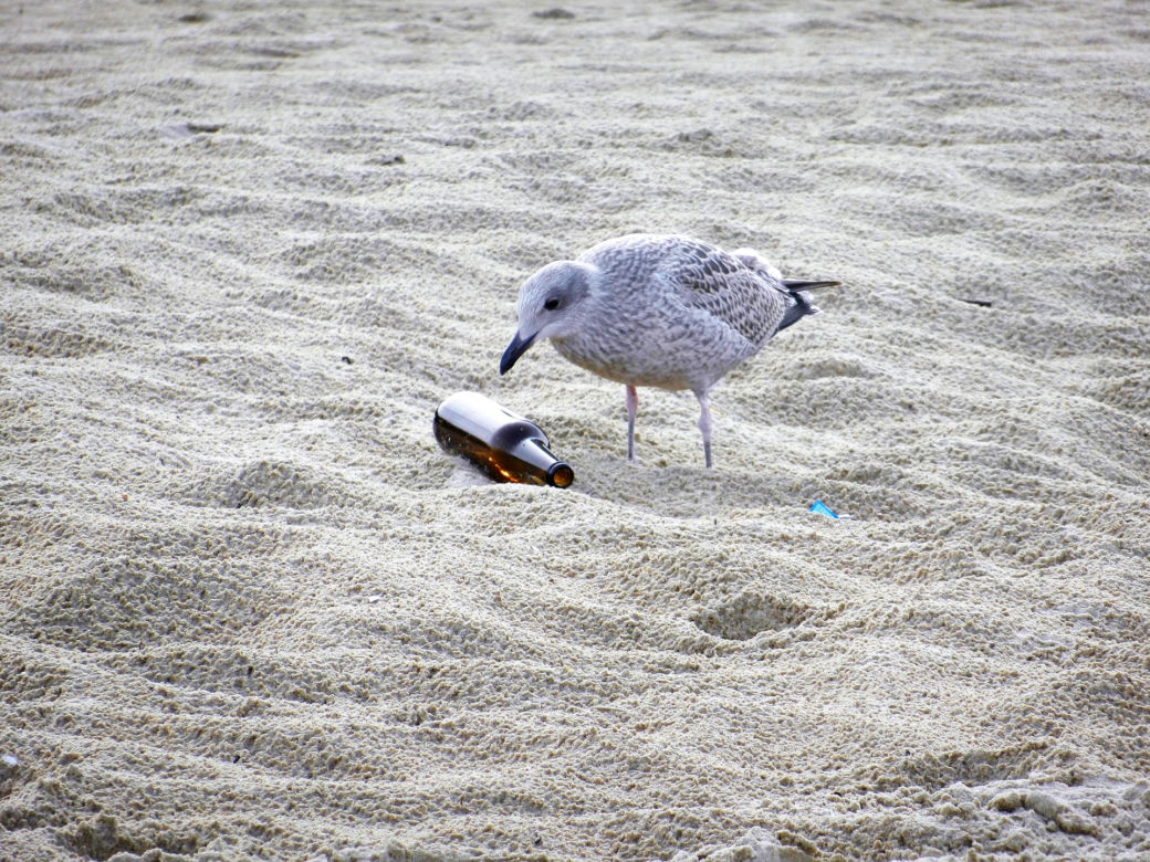Zaśmiecanie plaży