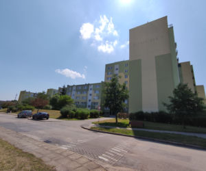 Karaluchy straszą mieszkańców bloku przy ulicy Witeckiego 3 w Bydgoszczy 