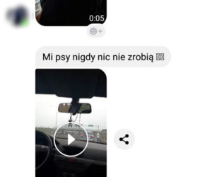 Nękana kobieta