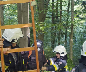 Skrzętla-Rojówka: Paralotniarz wylądował na drzewie i nie mógł zejść. Ratowali go strażacy