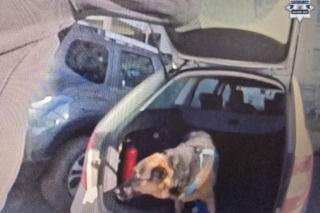 Zamknięty samochód, zaparowane szyby i pies w środku. Służby ruszyły do akcji