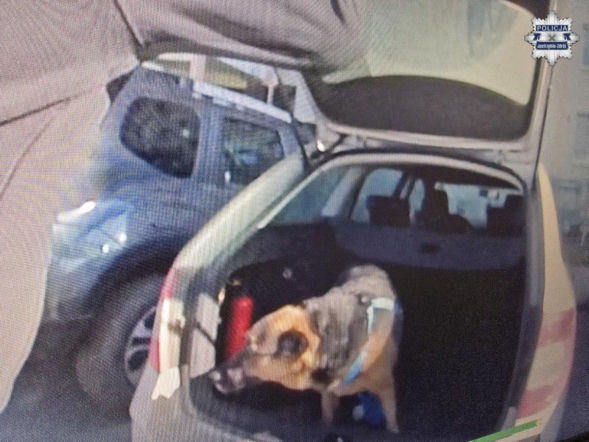 Zamknięty samochód, zaparowane szyby i pies w środku. Służby ruszyły do akcji