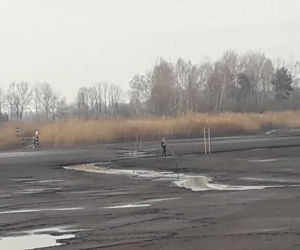 Lipno: Sarna była o krok od ŚMIERCI w mule! Uratowali ją strażacy