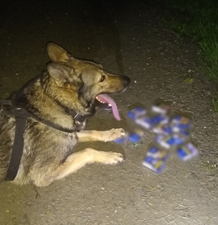 Emerytura po ośmiu latach służby. Halny i Gabono już nie pracują w sądeckiej policji 