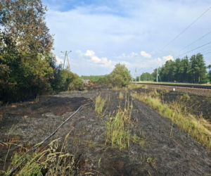 Pożar traw spowodował wstrzymanie ruchu pociągów pomiędzy Mińskiem Mazowieckim i Siedlcami