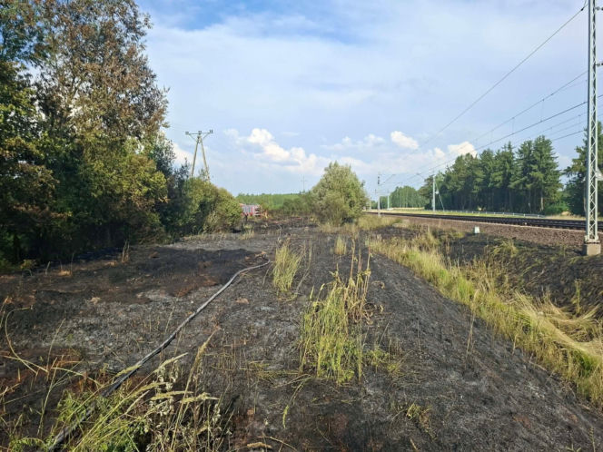 Pożar traw spowodował wstrzymanie ruchu pociągów pomiędzy Mińskiem Mazowieckim i Siedlcami