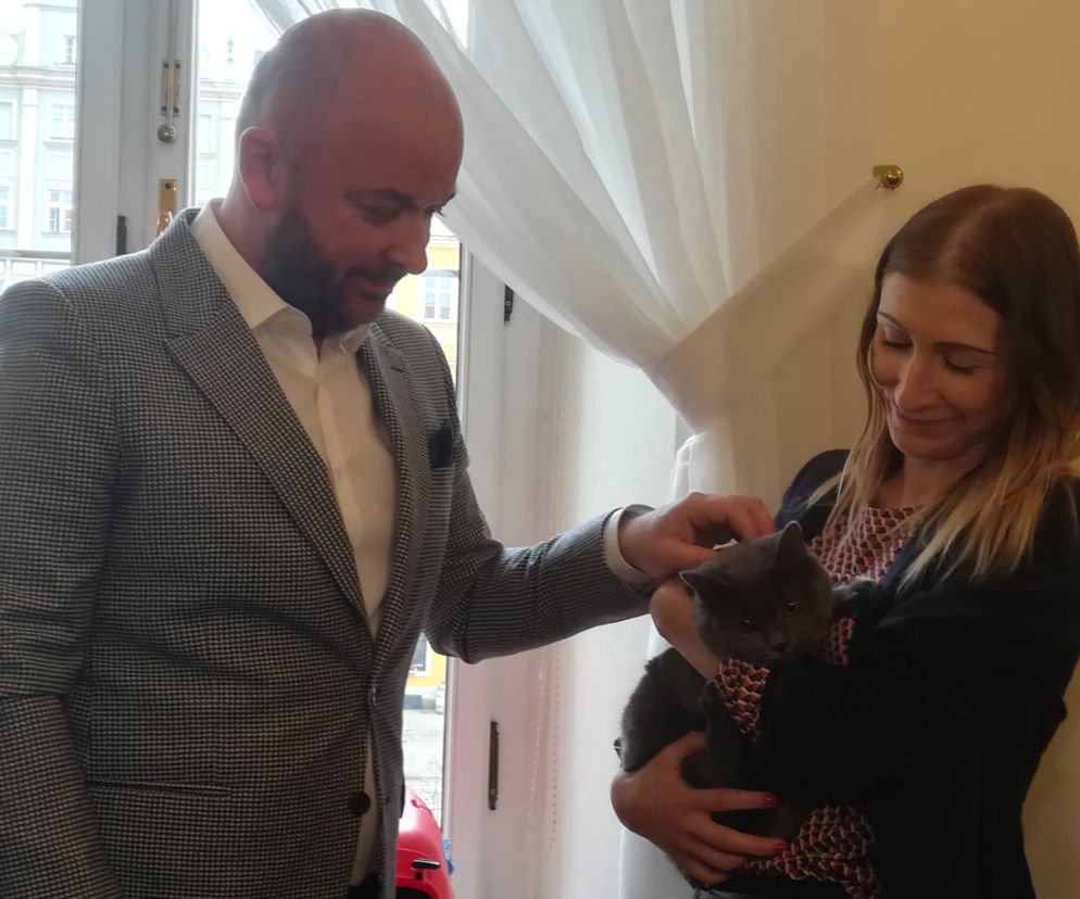 Kot Wrocek zamieszkał w gabinecie prezydenta