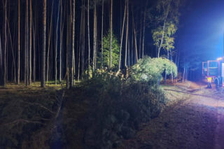 Pijany kierowca rozbił się na drzewie