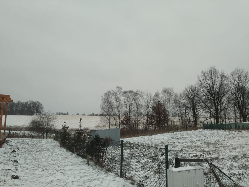 Na Śląsku spadł ŻÓŁTY ŚNIEG! Skąd się wziął? Będziecie zaskoczeni [ZDJĘCIA]