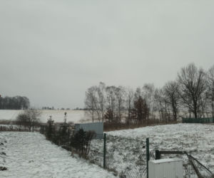 Na Śląsku spadł ŻÓŁTY ŚNIEG! Skąd się wziął? Będziecie zaskoczeni [ZDJĘCIA]