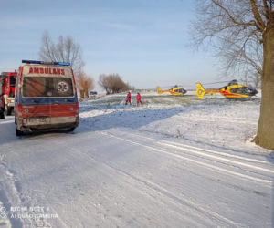 Nowe Gumino. Dodge ROZBIŁ SIĘ o drzewo! Kierowca reanimowany! Małe dziecko i kobieta ranni [ZDJĘCIA]