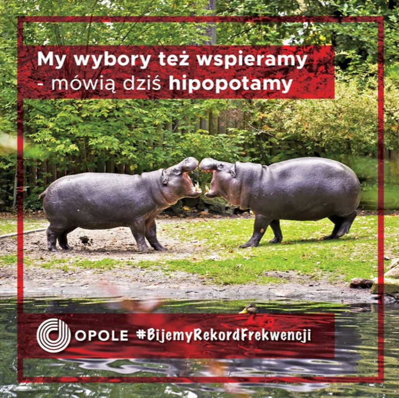 Komiczna kampania Opola! Wybory Prezydenckie 2020 to nasza szansa na rekord frekwencji