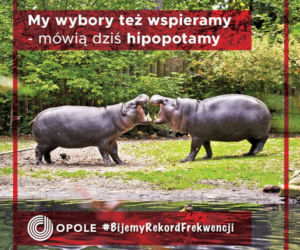 Komiczna kampania Opola! Wybory Prezydenckie 2020 to nasza szansa na rekord frekwencji