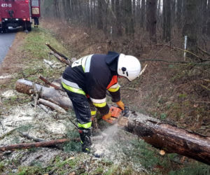 Silny wiatr na Podkarpaciu 17.01.2022. Uszkodzone dachy na szkołach! 