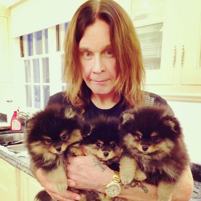 Ozzy Osbourne naprawdę to zrobił! Nietoperz był tylko początkiem
