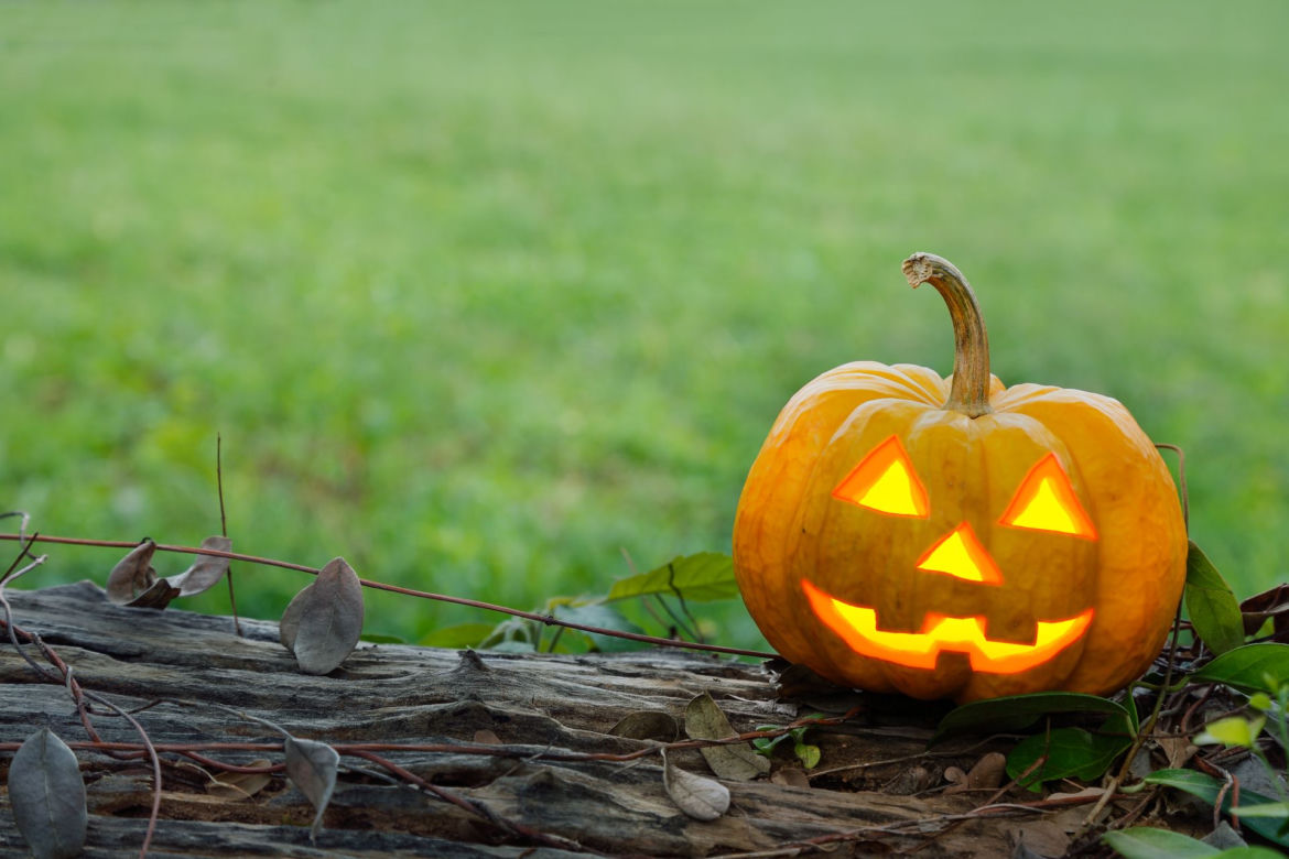 Dekoracje z dyni na Halloween