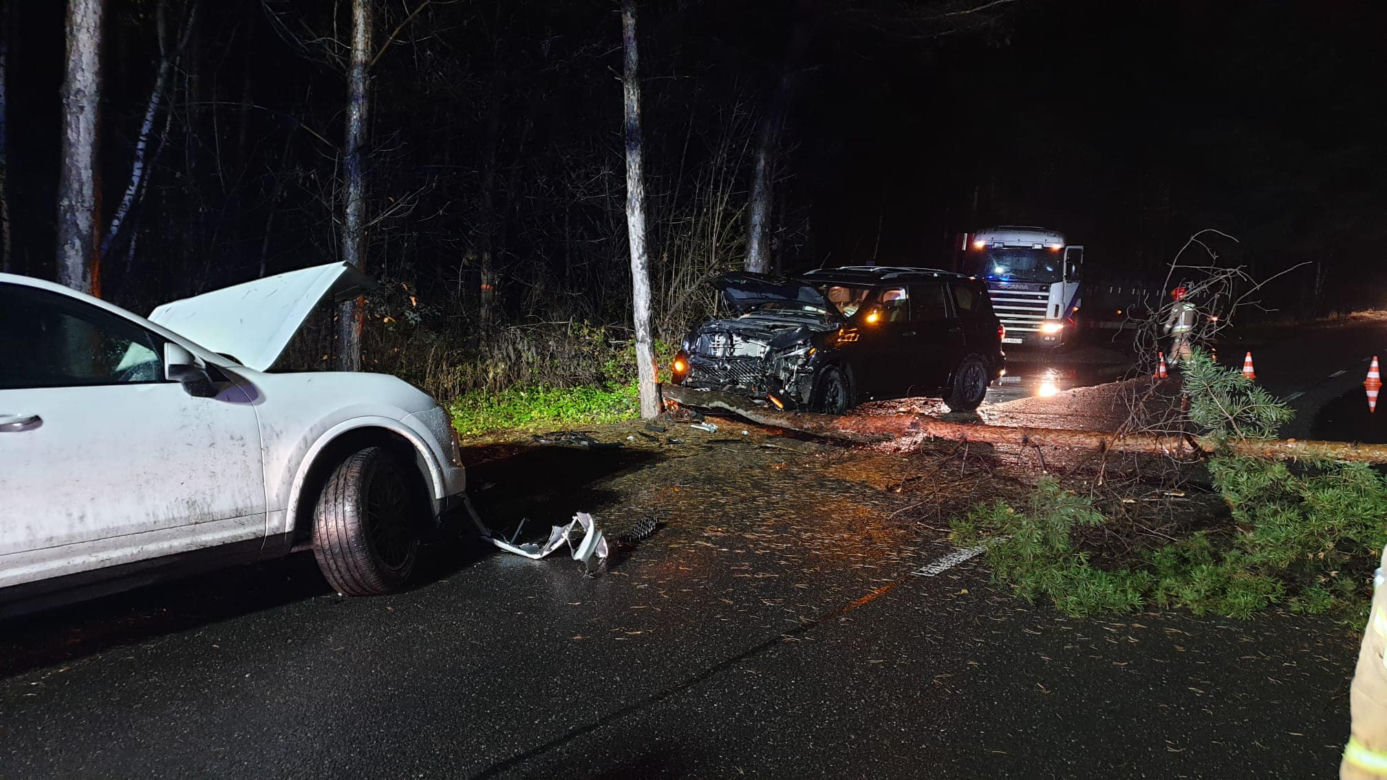 Koszmarny wypadek w Dąbrowie Górniczej. Jeden z samochodów "ściął" drzewo