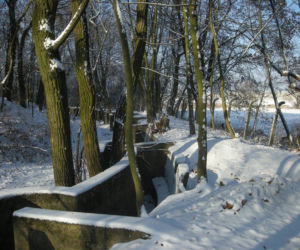 Fort Piechoty numer 6 Polanowice