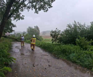 Zalane Nowe Miasto Lubawskie
