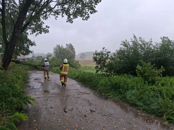 Zalane Nowe Miasto Lubawskie