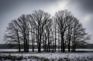 Pogoda na weekend w Bochni! Czy 03.12.2025 to początek pochmurnego dramatu?