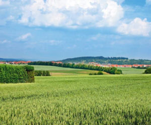 Budowa domu energooszczędnego - katalog ekologicznych możliwości 