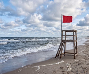 Sinice Gdańsk. Czy w Gdańsku można się kąpać 13.07? Flaga, warunki pogodowe
