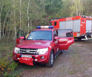 W podbydgoskim lesie zaginął grzybiarz 