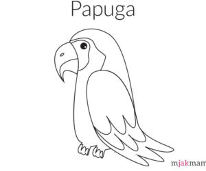 ptaki kolorowanki - papuga