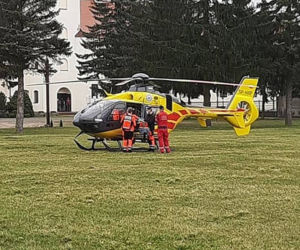 Maję zabiło spróchniałe drzewo w parku