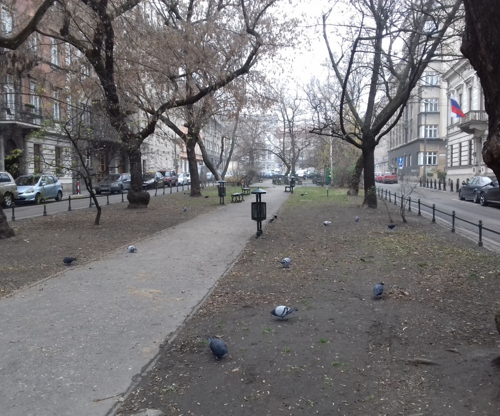Tak obecnie wygląda Plac Biskupi