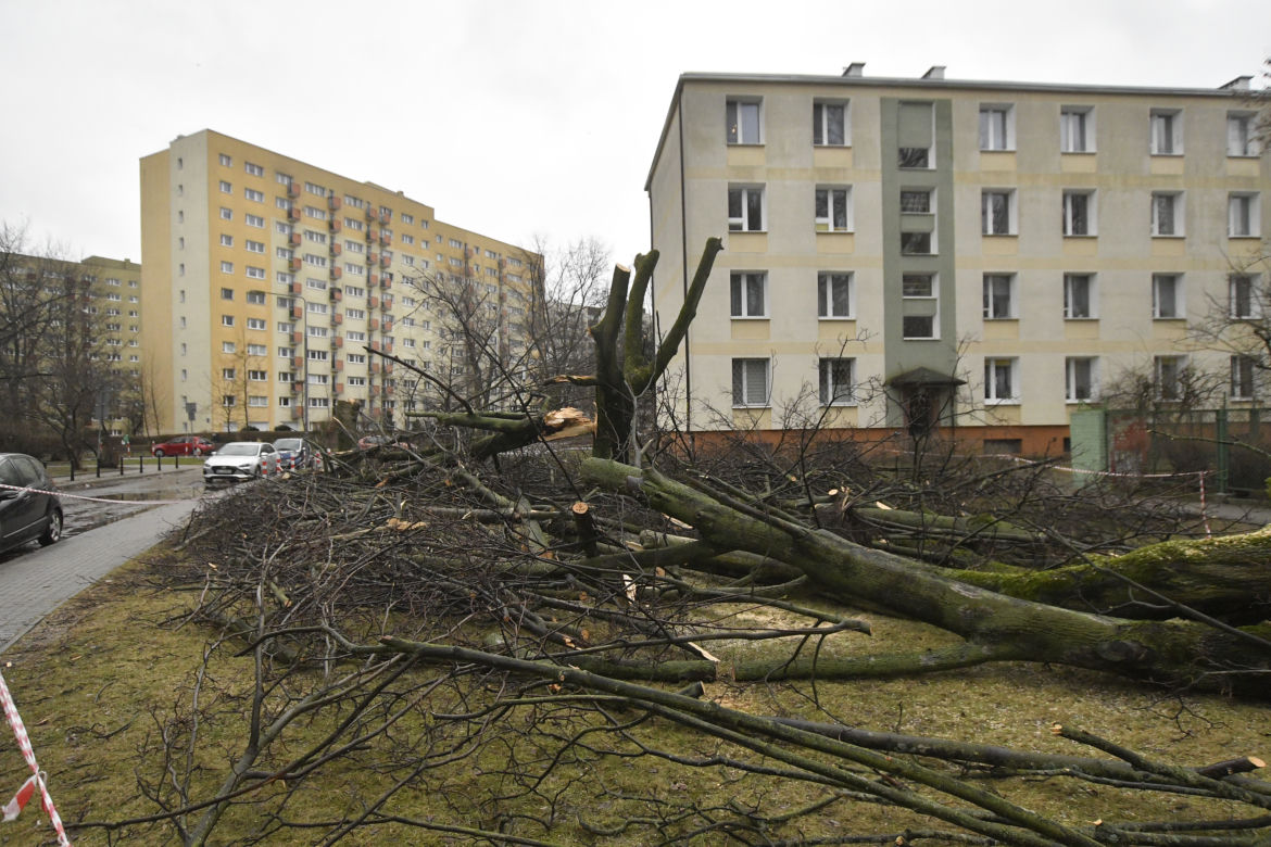 Wichury w Polsce
