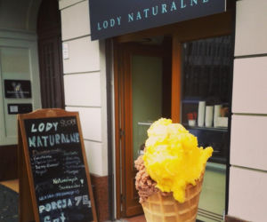 Sucré - Lody Naturalne