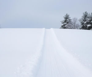 Górki saneczkowe w Lesznie. Jak Zaborowo ma stać się zimową krainą zabawy?