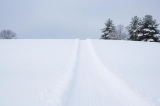 Górki saneczkowe w Lesznie. Jak Zaborowo ma stać się zimową krainą zabawy?