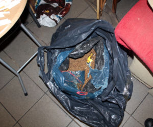 Gruzin miał 111 kg nielegalnego tytoniu za 60 tys. zł!