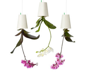 doniczka do góry nogami Sky Planter