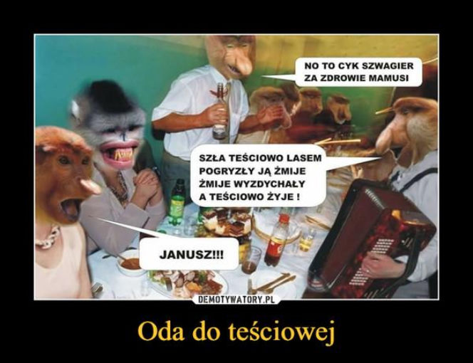 Tych memów o teściowych nie pokażesz mamie! Internauci nie mają litości