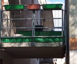 Balkony z widokiem na ścianę