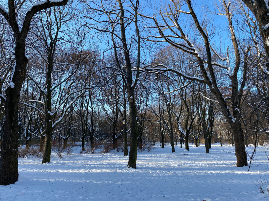 Śnieżna zima w Parku Praskim