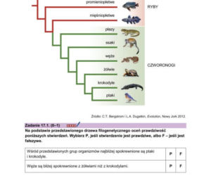Arkusze matura próbna z biologii 14.01.2026