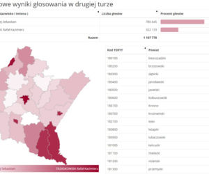 Wyniki podkarpackie Wybory 2020