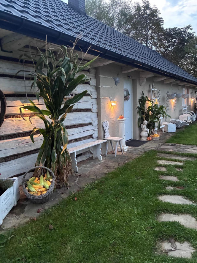 Remont drewnianej chaty w Bełdnie