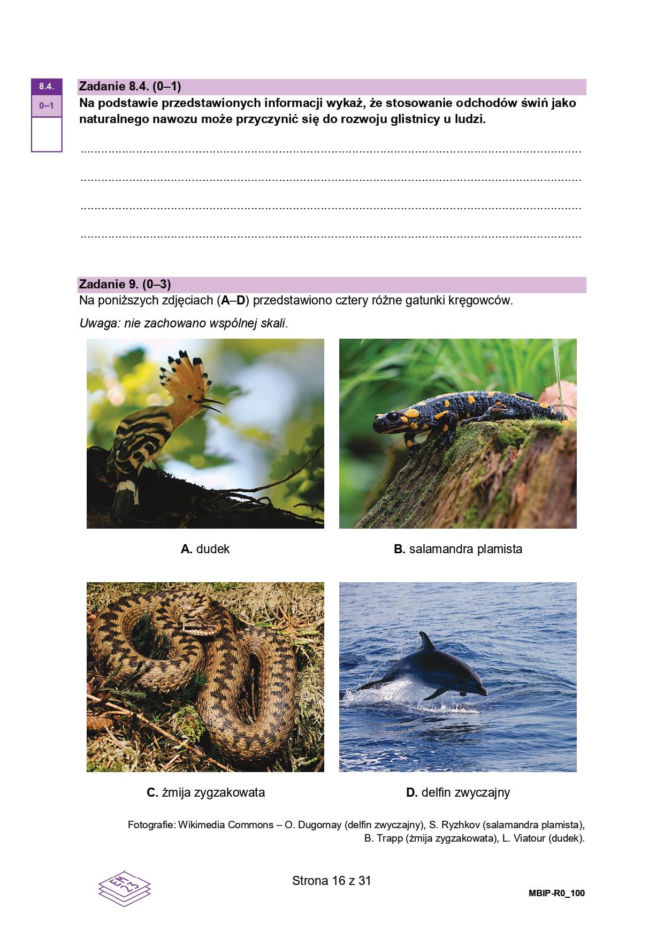 Próbna matura 2026 biologia. WSZYSTKIE arkusze CKE i odpowiedzi 14.01.